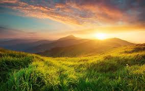 Пример изображения